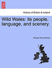 George Henry Borrow - Wild Wales: Its People, Language, and Scenery., Häftad