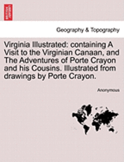 bokomslag Virginia Illustrated