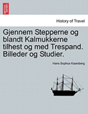 bokomslag Gjennem Stepperne og blandt Kalmukkerne tilhest og med Trespand. Billeder og Studier.