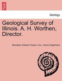 bokomslag Geological Survey of Illinois. A. H. Worthen, Director.