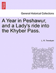 bokomslag A Year in Peshawur, and a Lady's Ride Into the Khyber Pass.