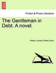 bokomslag The Gentleman in Debt. a Novel.