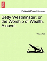 bokomslag Betty Westminster; Or the Worship of Wealth. a Novel.