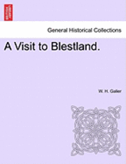 bokomslag Visit to Blestland.