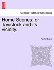bokomslag Home Scenes: Or Tavistock and Its Vicinity.