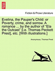 bokomslag Evelina, the Pauper's Child