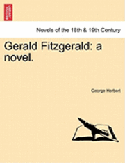 bokomslag Gerald Fitzgerald