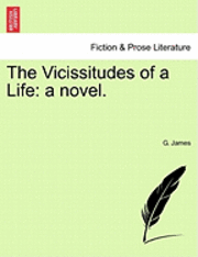 bokomslag The Vicissitudes of a Life: A Novel.