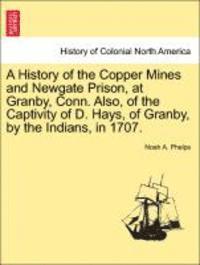 bokomslag A History of the Copper Mines and Newgate Prison, at Granby, Conn. Also, of the Captivity of D. Hays, of Granby, by the Indians, in 1707.