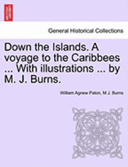 bokomslag Down the Islands. a Voyage to the Caribbees ... with Illustrations ... by M. J. Burns.