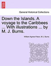 Down the Islands. a Voyage to the Caribbees ... with Illustrations ... by M. J. Burns.