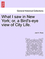bokomslag What I Saw in New York; Or, a Bird's-Eye View of City Life.