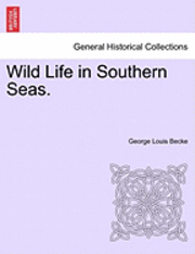 bokomslag Wild Life in Southern Seas.