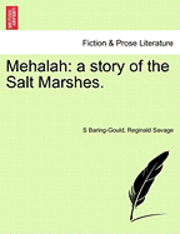 Mehalah: A Story of the Salt Marshes.