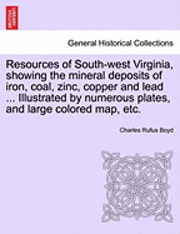 bokomslag Resources of South-West Virginia, Showing the Mineral Deposits of Iron, Coal, Zinc, Copper and Lead ... Illustrated by Numerous Plates, and Large Colored Map, Etc.