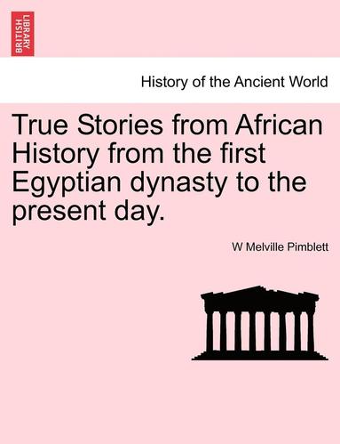 bokomslag True Stories from African History from the First Egyptian Dynasty to the Present Day.