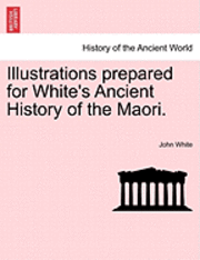 bokomslag Illustrations Prepared for White's Ancient History of the Maori.