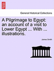 bokomslag A Pilgrimage to Egypt