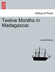 bokomslag Twelve Months in Madagascar.