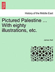 bokomslag Pictured Palestine ... with Eighty Illustrations, Etc.