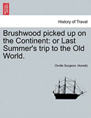 bokomslag Brushwood Picked Up on the Continent: Or Last Summer's Trip to the Old World.