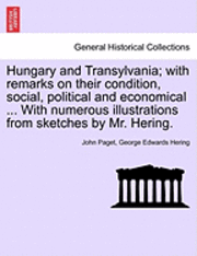 bokomslag Hungary and Transylvania; with remarks on their condition, social, political and economical ... With numerous illustrations from sketches by Mr. Hering. Vol. II.