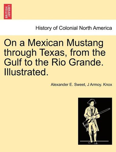 bokomslag On a Mexican Mustang through Texas, from the Gulf to the Rio Grande. Illustrated.