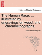 bokomslag The Human Race, ... Illustrated by ... Engravings on Wood, and ... Chromolithographs.
