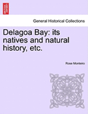 bokomslag Delagoa Bay