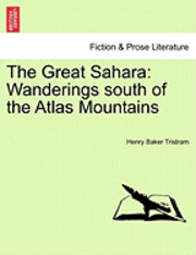 The Great Sahara 1