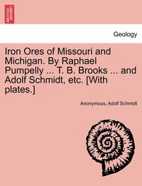 bokomslag Iron Ores of Missouri and Michigan. By Raphael Pumpelly ... T. B. Brooks ... and Adolf Schmidt, etc. [With plates.]