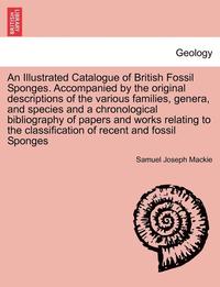 bokomslag An Illustrated Catalogue of British Fossil Sponges. Accompanied by the Original Descriptions of the Various Families, Genera, and Species and a Chronological Bibliography of Papers and Works Relating