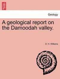 bokomslag A Geological Report on the Damoodah Valley.
