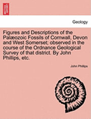 bokomslag Figures and Descriptions of the Pal Ozoic Fossils of Cornwall, Devon and West Somerset; Observed in the Course of the Ordnance Geological Survey of That District. by John Phillips, Etc.