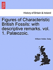 bokomslag Figures of Characteristic British Fossils