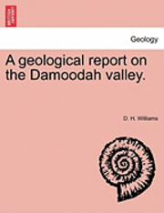 bokomslag A Geological Report on the Damoodah Valley.