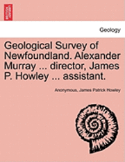 bokomslag Geological Survey of Newfoundland. Alexander Murray ... director, James P. Howley ... assistant.
