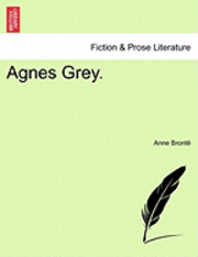 bokomslag Agnes Grey.