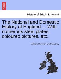 bokomslag The National and Domestic History of England ... With numerous steel plates, coloured pictures, etc.