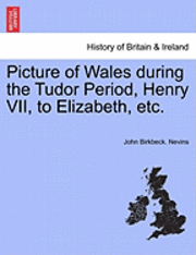 bokomslag Picture of Wales During the Tudor Period, Henry VII, to Elizabeth, Etc.