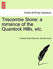 Triscombe Stone 1