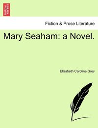 bokomslag Mary Seaham