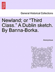 bokomslag Newland; Or "Third Class." a Dublin Sketch. by Banna-Borka.