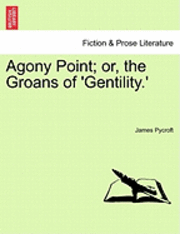 bokomslag Agony Point; Or, the Groans of 'Gentility.' Vol. II.