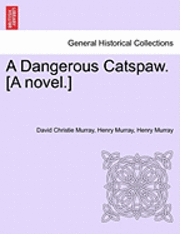 A Dangerous Catspaw. [A Novel.] 1