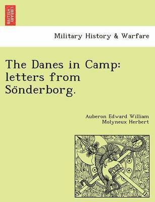 bokomslag The Danes in Camp: Letters from So Nderborg.