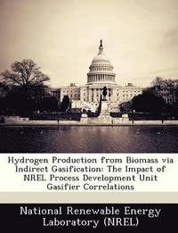 bokomslag Hydrogen Production from Biomass Via Indirect Gasification