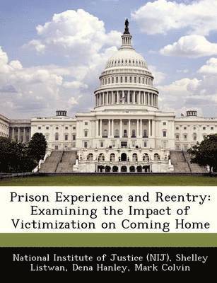 bokomslag Prison Experience and Reentry
