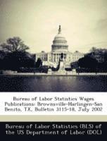 bokomslag Bureau of Labor Statistics Wages Publications