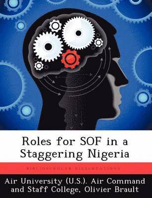 bokomslag Roles for Sof in a Staggering Nigeria